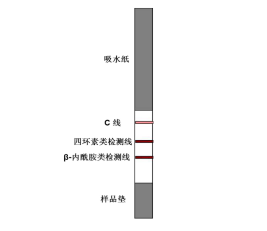 四環(huán)素類+β-內(nèi)酰胺類抗生素檢測試紙條.jpg