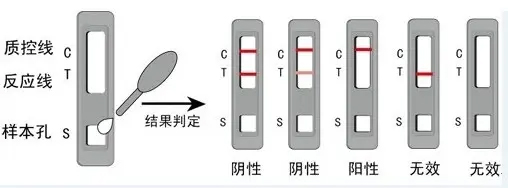 檢測盒-內容2.jpg