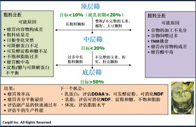 嘉吉篩-分析參考.jpg